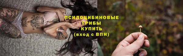 бошки Абинск