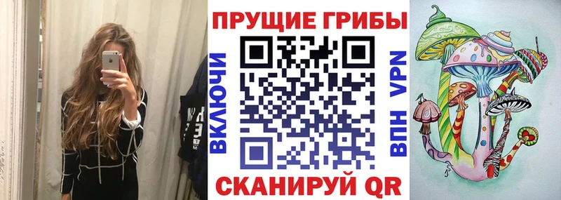 Псилоцибиновые грибы прущие грибы  Старый Крым 